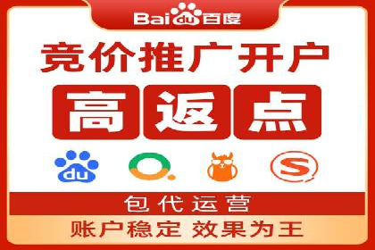 百度推广费用的投入与市场占有率提升的关联案例